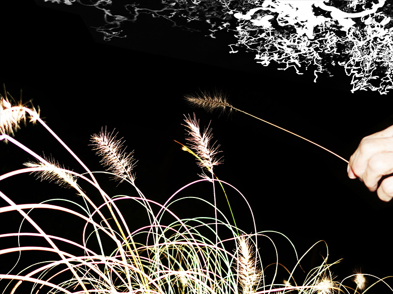 Feierlichkeit 109 (H