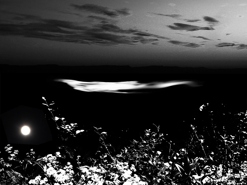 Feierlichkeit 125 (B