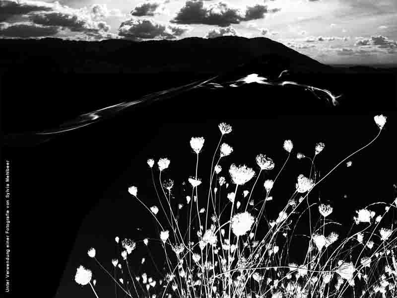 Feierlichkeit 146 (S