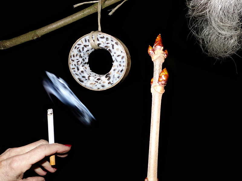 Feierlichkeit 157 (M