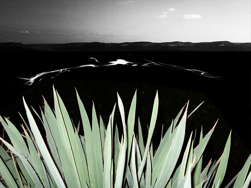 Feierlichkeit 174 (B